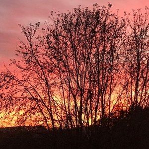 Meet your Posher, Terri